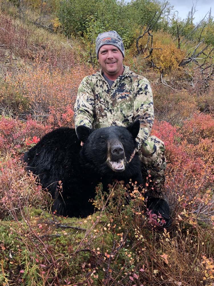 bear1