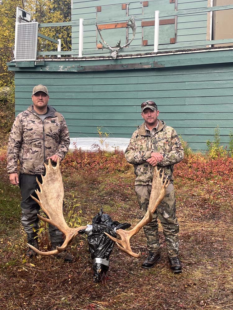 moose2