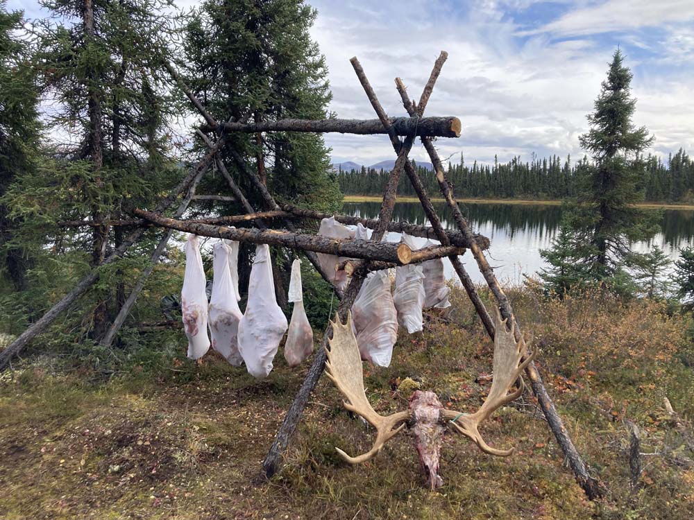 moose5