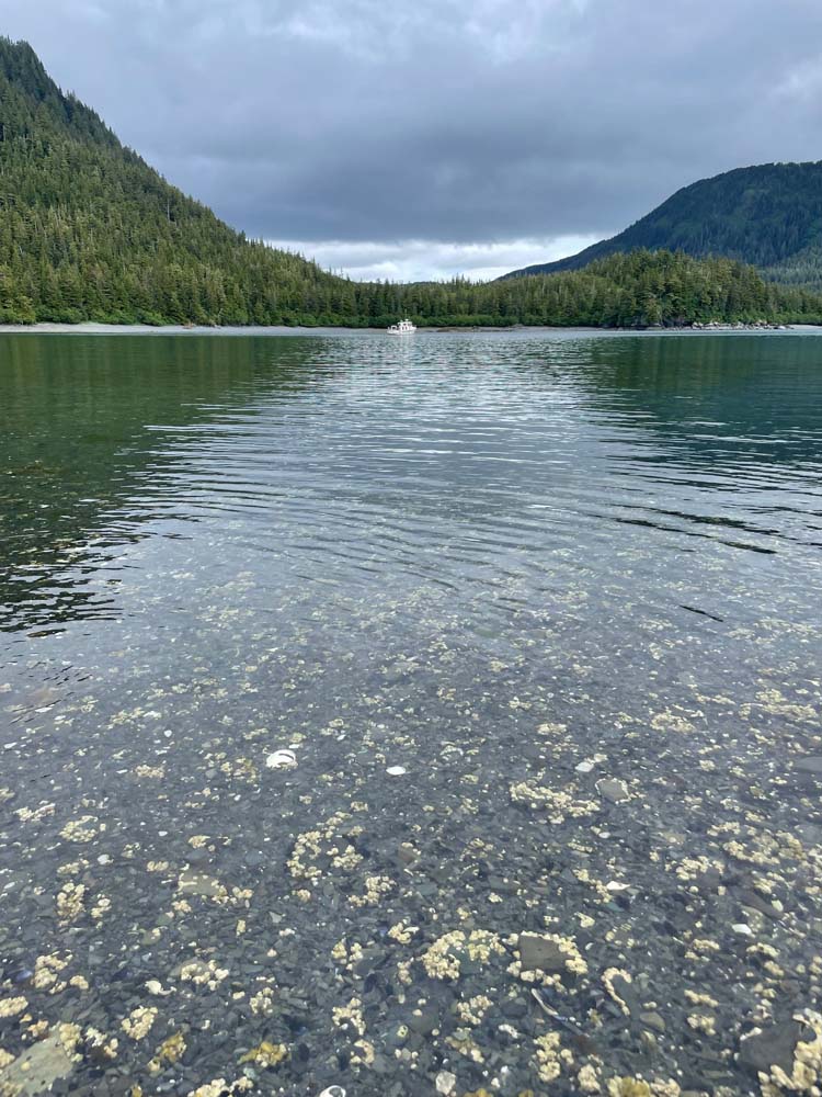 viewfrombeachlookingoutoncanoepassage