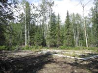 06-foundation-view-of-FireweedMt.